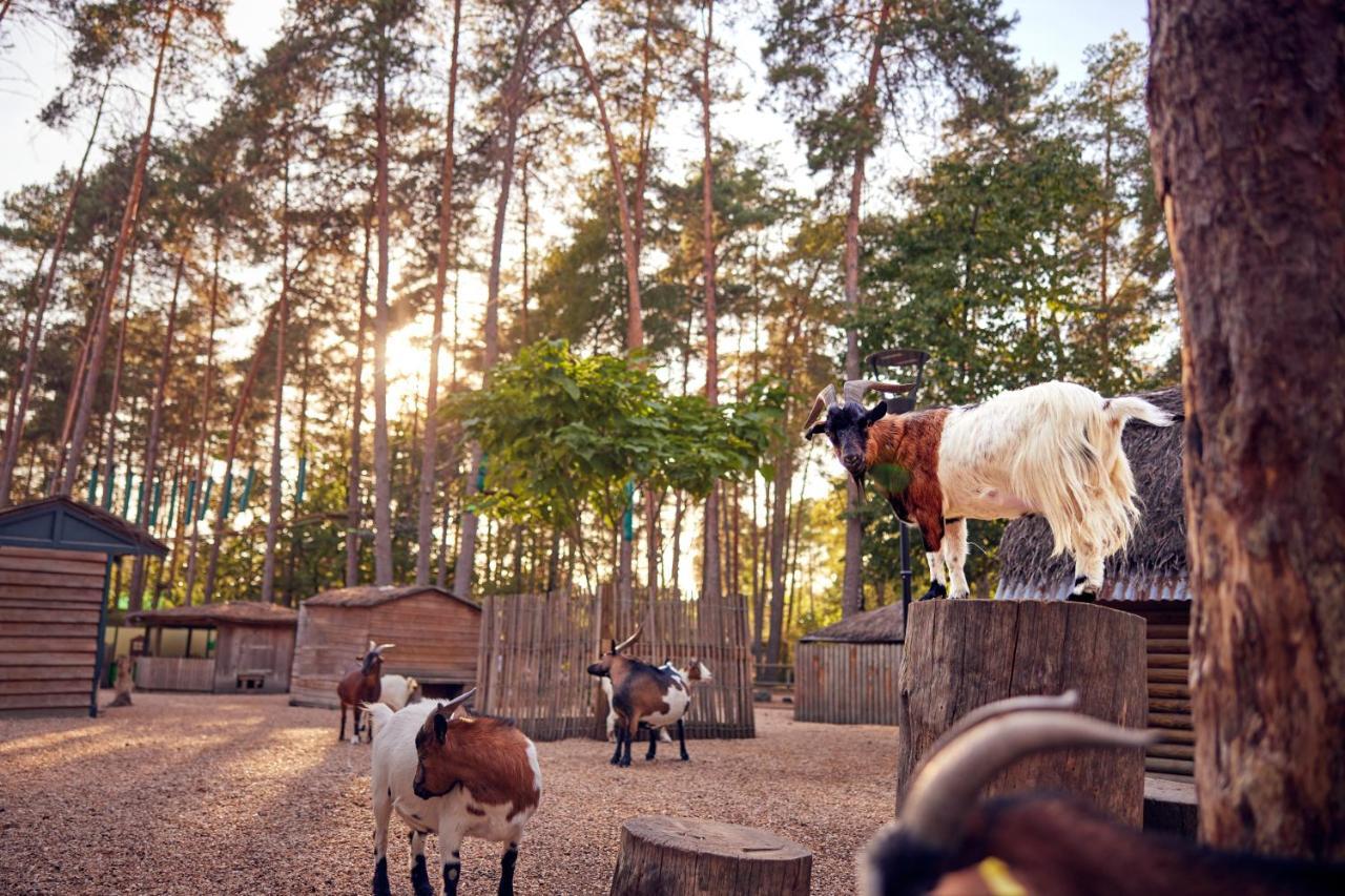 Center Parcs Les Hauts De Bruyeres Шомон-сюр-Таронн Екстер'єр фото